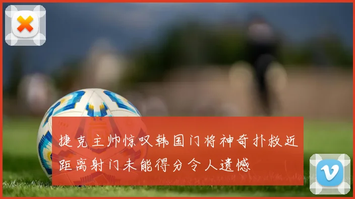 捷克主帅惊叹韩国门将神奇扑救近距离射门未能得分令人遗憾